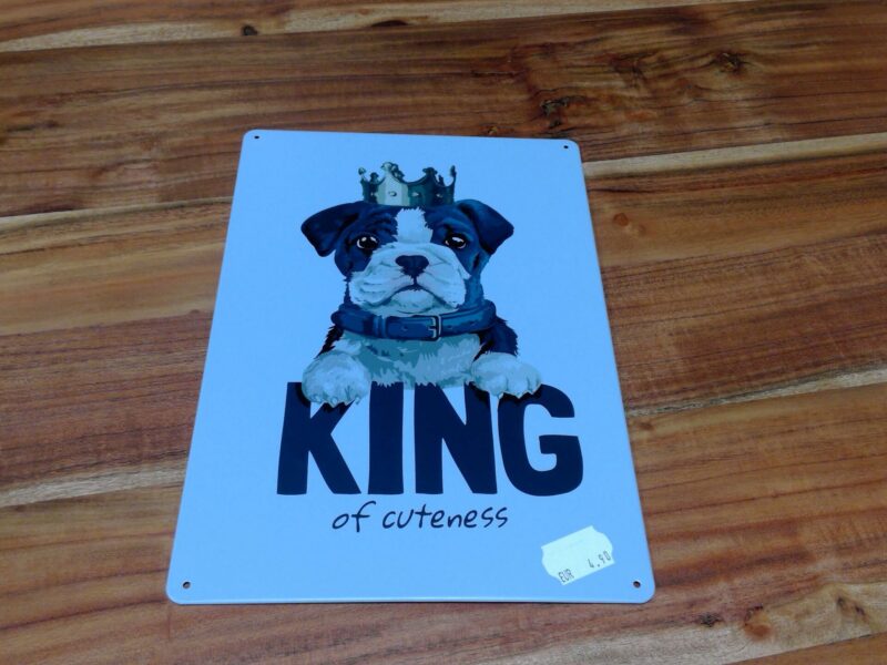PLAQUE METAL CHIEN KING OF CUTENESS 20X30CM