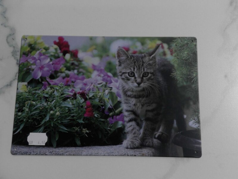 PLAQUE METAL CHATON 20X30CM