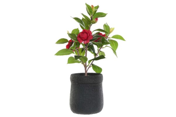 ROSIER ARTIFICIELLE – ROSES ROUGES H.37CM ANNEXE MEUBLE & DECO