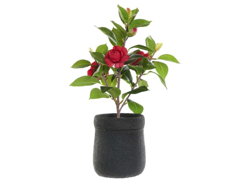 ROSIER ARTIFICIELLE - ROSES ROUGES H.37CM