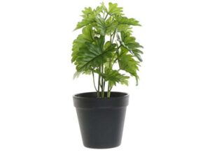 PLANTE ARTIFICIELLE H.28CM ANNEXE MEUBLE & DECO