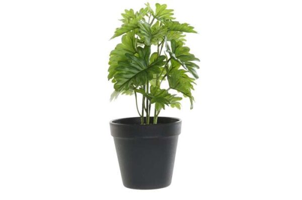 PLANTE ARTIFICIELLE H.28CM ANNEXE MEUBLE & DECO