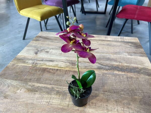 ORCHIDÉE PM VIOLETTE H.30CM ANNEXE MEUBLE & DECO