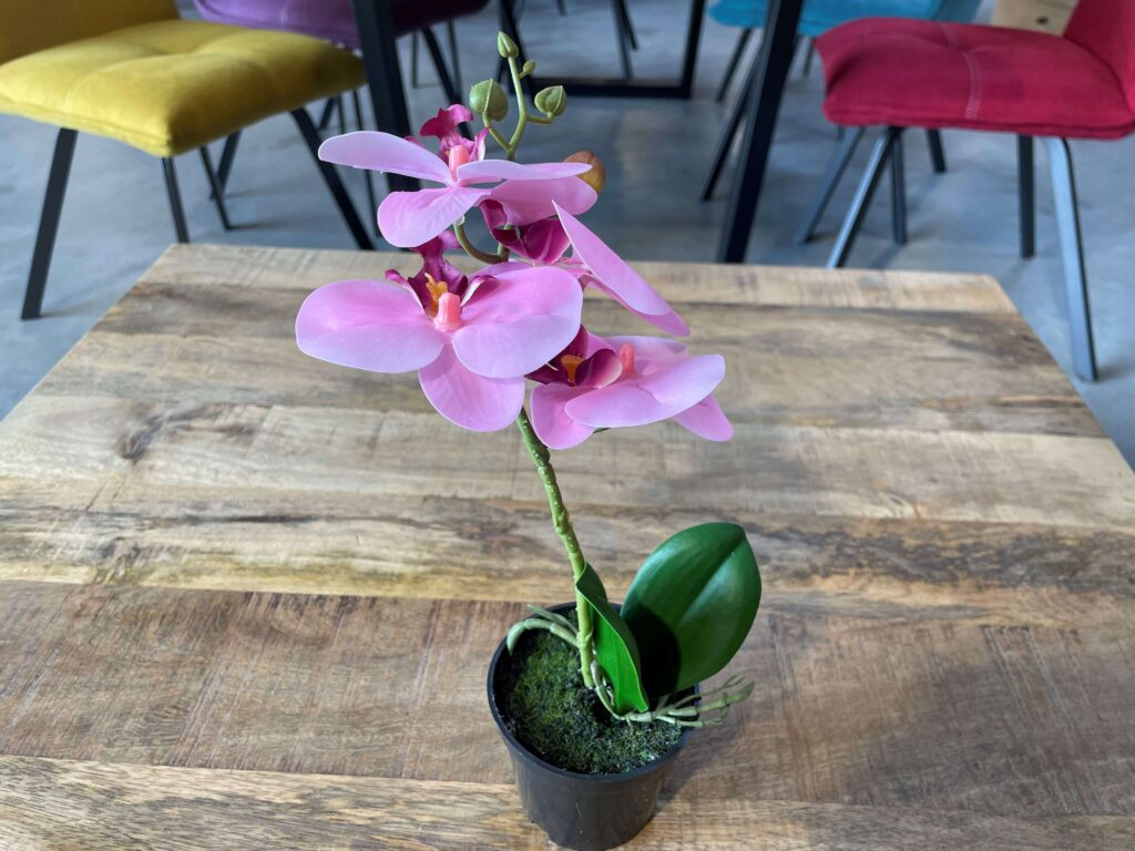 ORCHIDÉE PM ROSE H.30CM