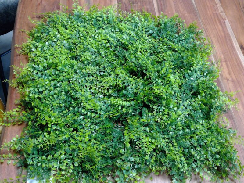 CARRÉ DÉCO VÉGÉTALE