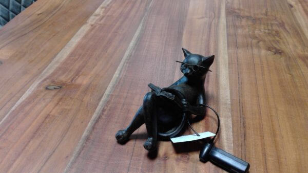 CHAT A LUNETTES LECTURE