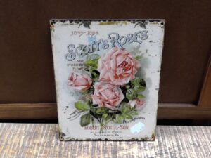 PLAQUE METAL 25X20CM ROSES ANNEXE MEUBLE & DECO