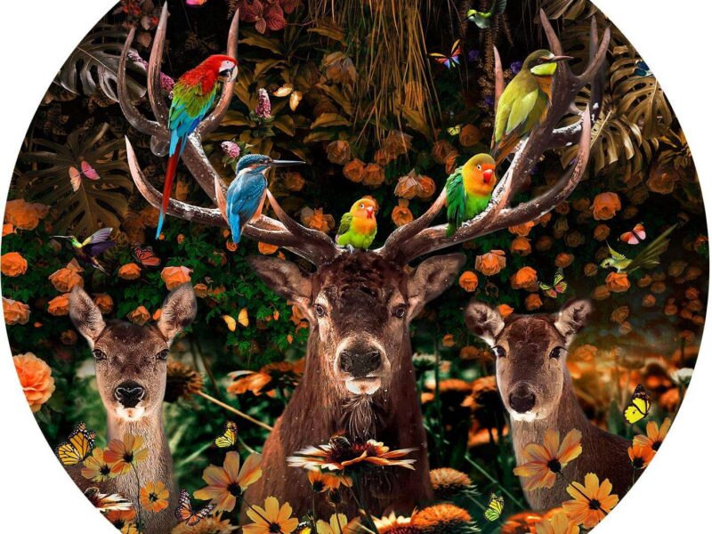 TABLEAU EN VERRE ROND CERF DIAM.100CM