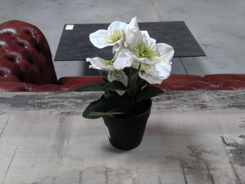 POT FLEUR BLANCHE H.26CM