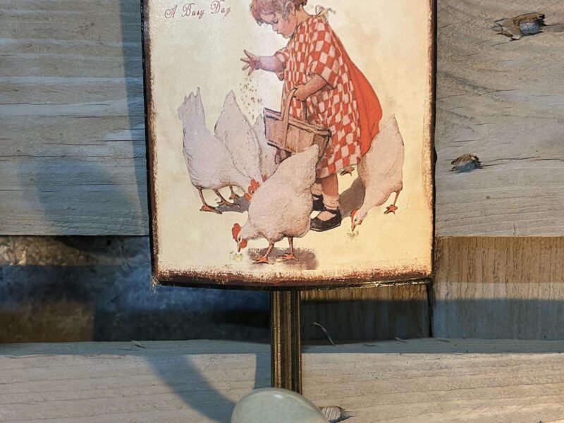 PATERE 1 CROCHET VINTAGE ENFANT POULES