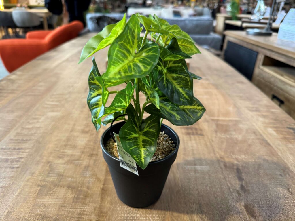 PLANTE ARTIFICIELLE H.27CM - DESTOCKAGE