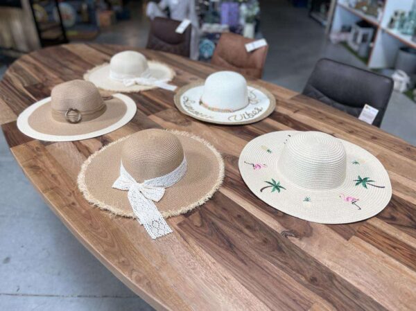 CHAPEAU DIFFERENTS MODELES ANNEXE MEUBLE & DECO