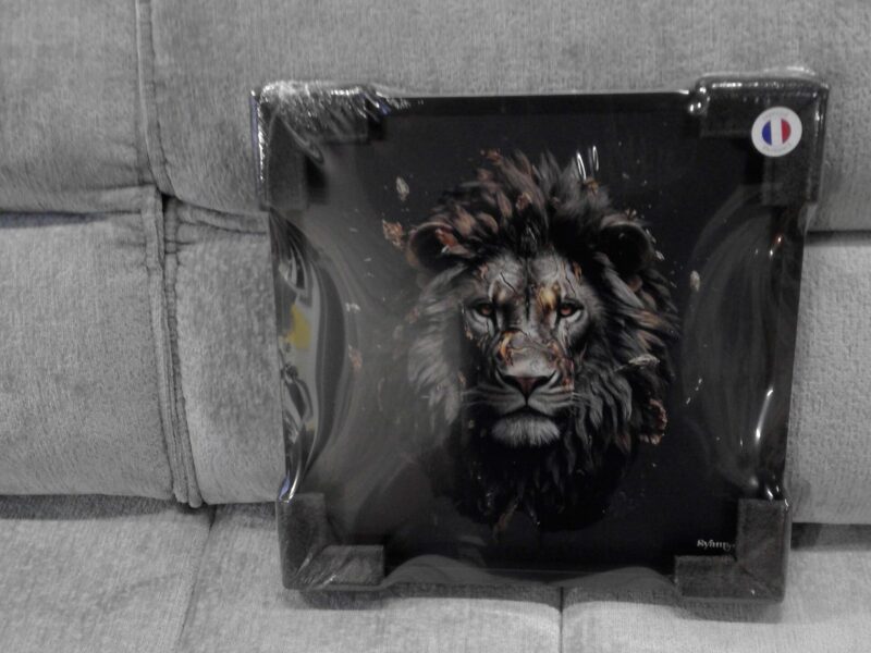 TABLEAU PORTRAIT LION CADRE NOIR 40X40CM