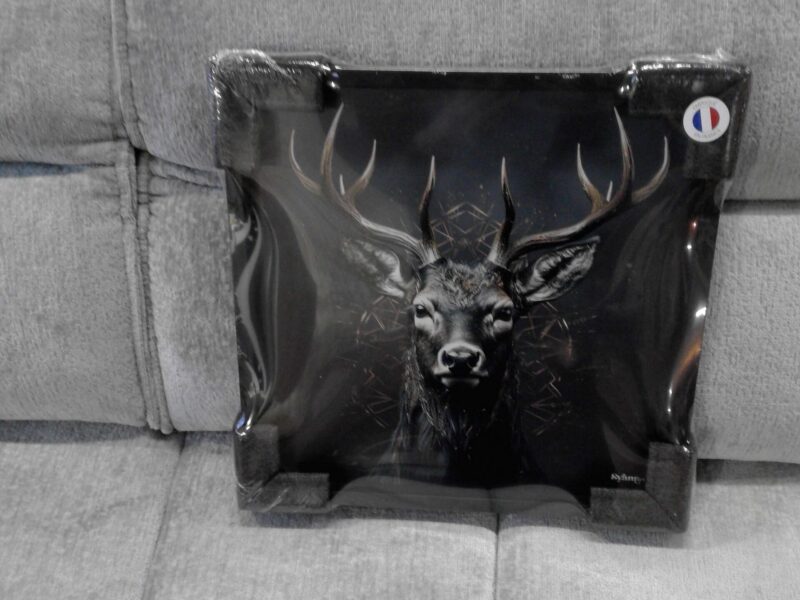 TABLEAU PORTRAIT CERF CADRE NOIR 40X40CM