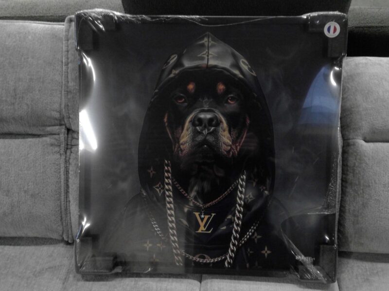 TABLEAU CHIEN VUITTON CADRE NOIR 60X60CM