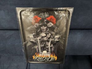 PLAQUE MÉTAL RELIEF - RIDE 30X40CM