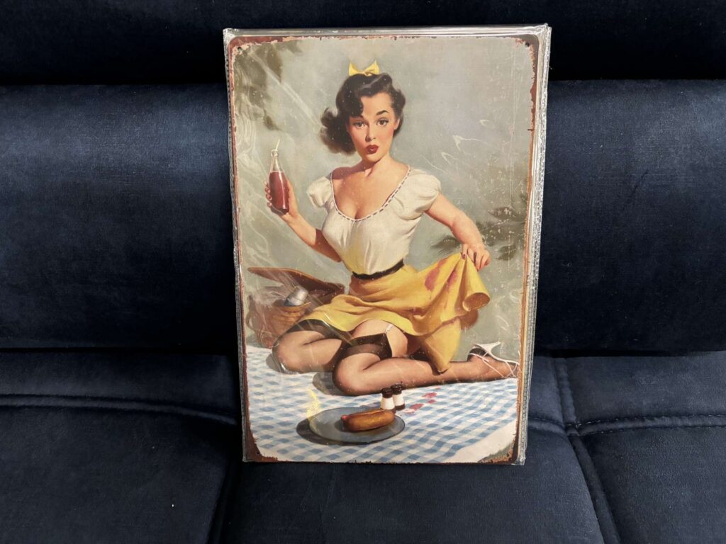 PLAQUE MÉTAL 20X30CM -HOT DOG