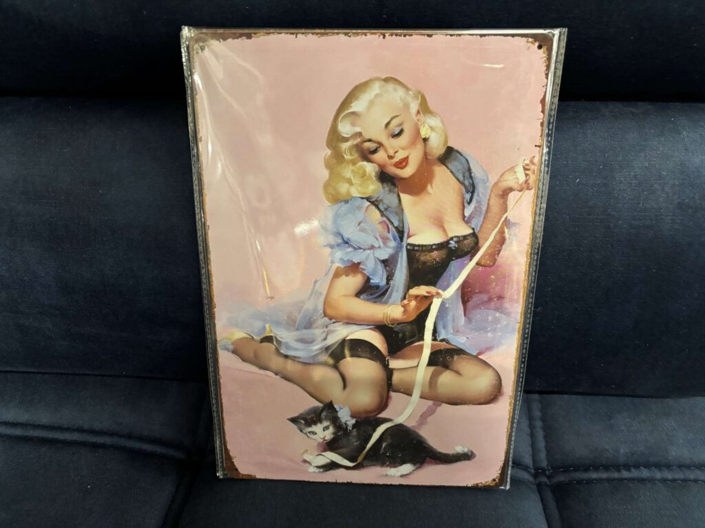 PLAQUE MÉTAL 20X30CM - PIN UP AVEC CHAT