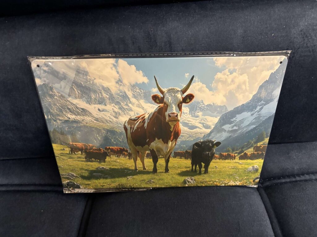 PLAQUE MÉTAL 20X30CM - VACHES