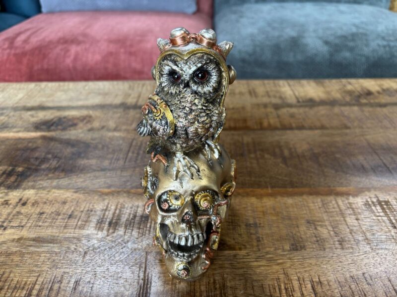 TETE DE MORT AVEC CHOUETTE MÉCANIQUE EN RÉSINE