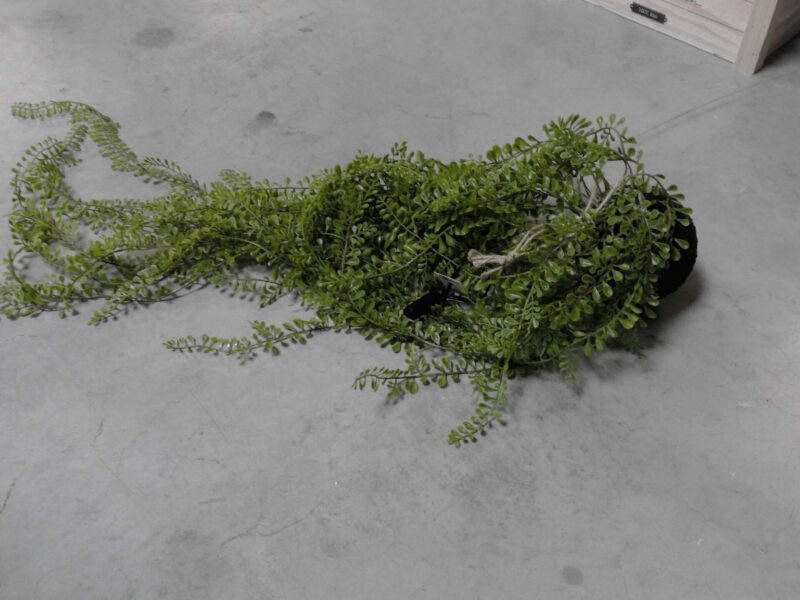 BOULE PLANTES PENDANTES