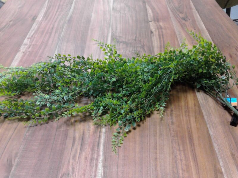 PLANTE ARTIFICIELLE REMPANTE