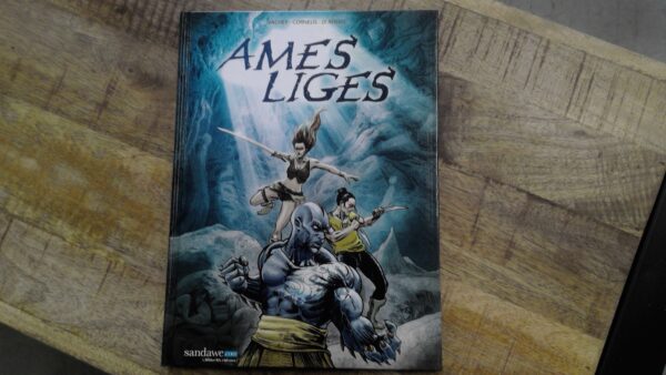 LIVRE – BD – AMES LIGES ANNEXE MEUBLE & DECO