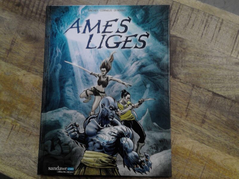 LIVRE - BD - AMES LIGES