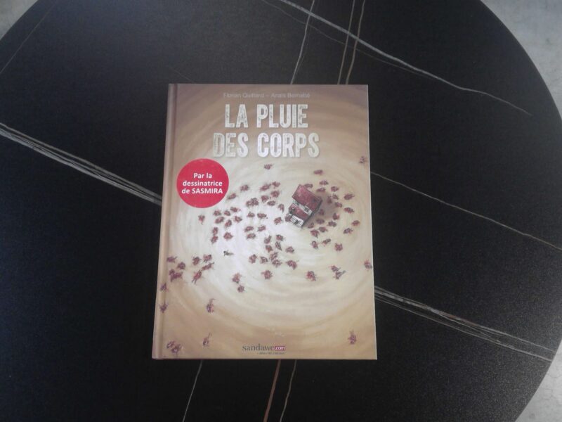 LIVRE - BD - LA PLUIE DES CORPS